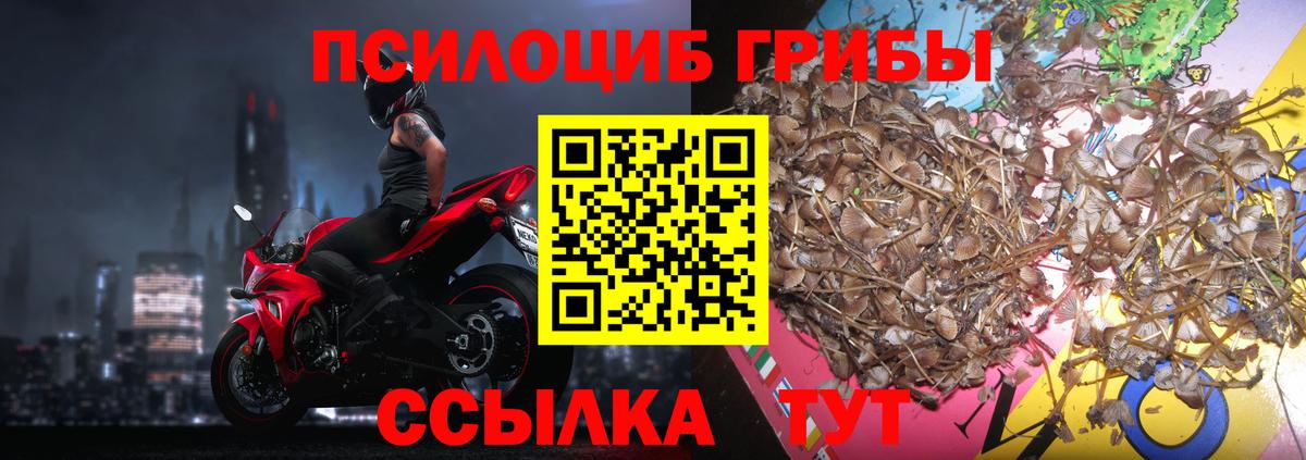 Псилоцибиновые грибы Psilocybine cubensis  Вход с VPN  купить наркотик  Псилоцибиновые грибы Psilocybine cubensis  Глазов 
